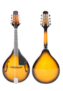Ladin kontrplak A tarzı mandolin(AM10L-A)
